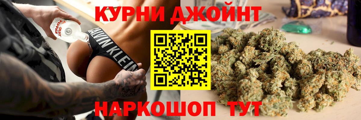 Конопля планчик Волхов